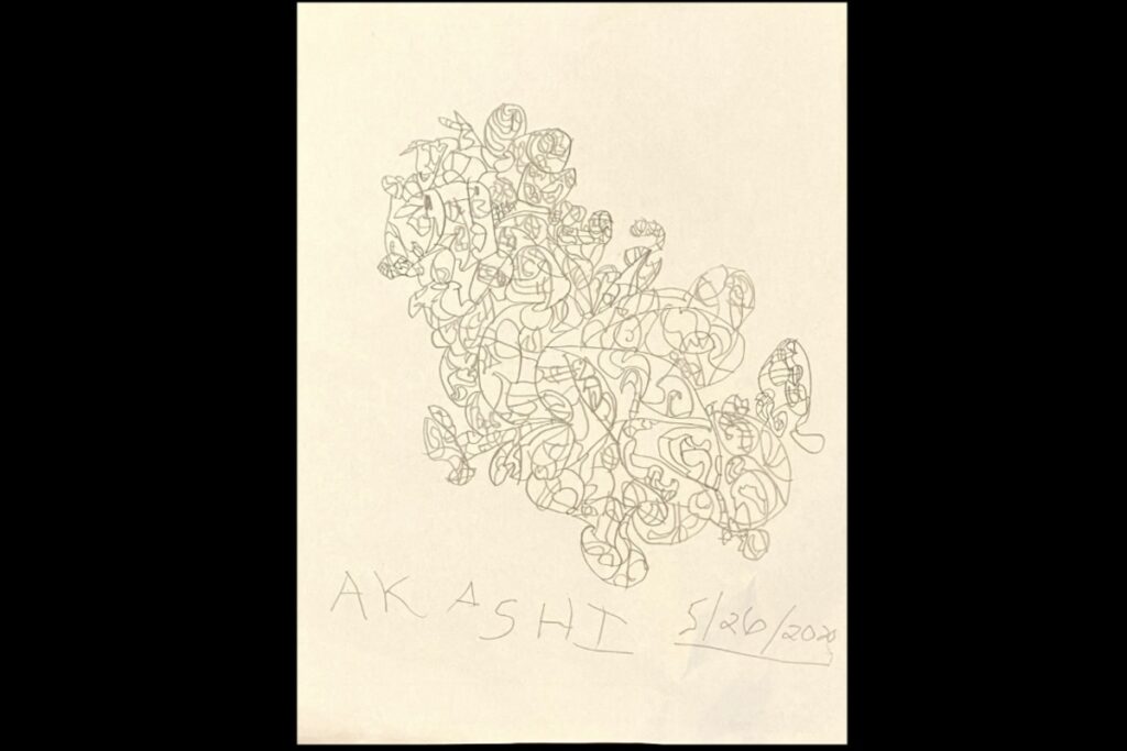 線だけで自由に描かれたAKASHIの初期作品。タイトルや説明のない抽象的表現。